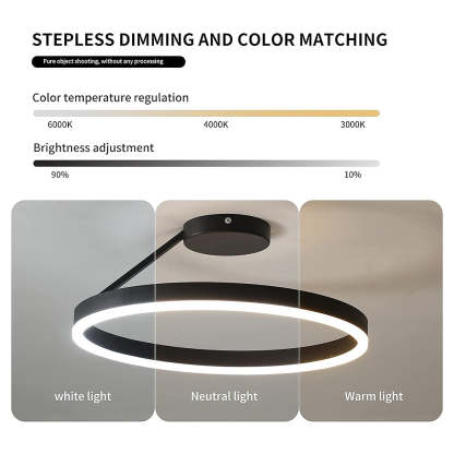 Circle Minimalist Metal LED Living Room Ceiling Light