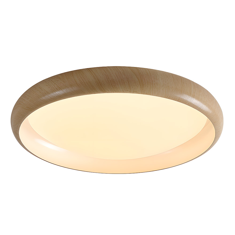  Highlighting the clean ceiling-mounted design