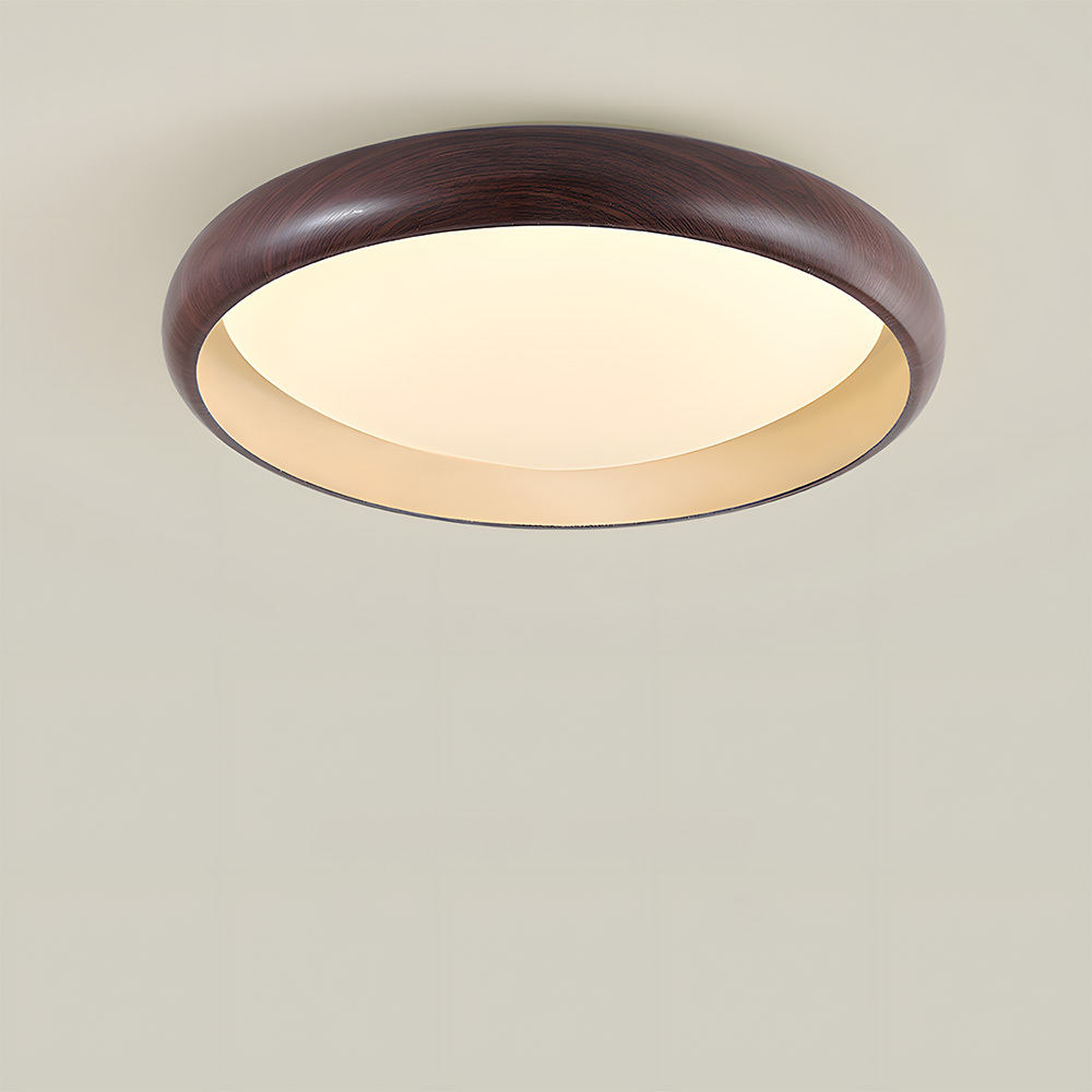 Displaying the low-profile ceiling mount design, ideal for low ceilings