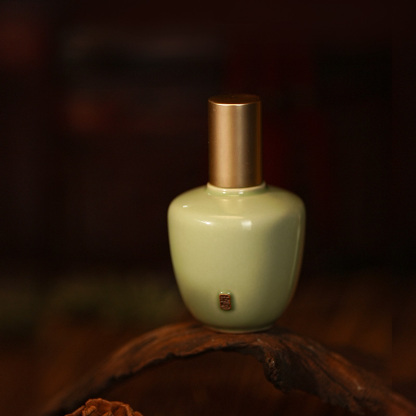THE BEGONIA GINSENG ESSENCE LIQUID FOUNDATION
