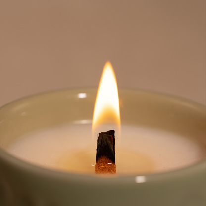 Earthly Realm Wooden-Core Candle