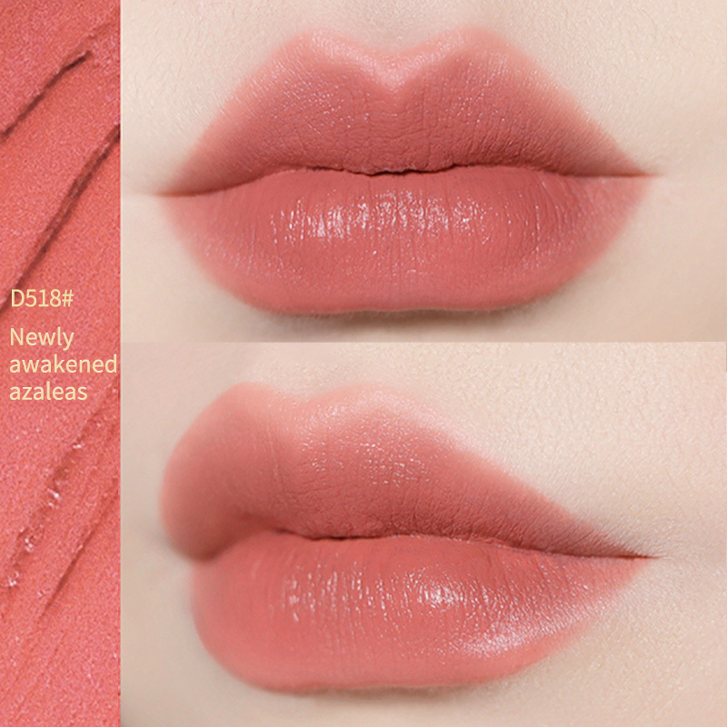 ZHU LI HONG E lipstick-Drawshine Store
