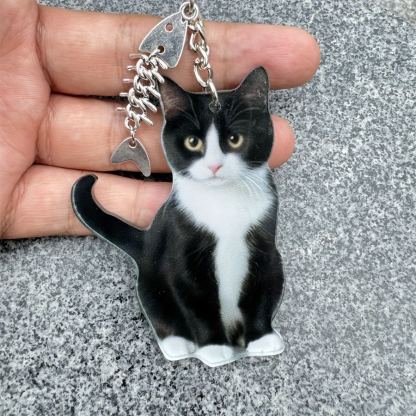 【🔥 Limited Time Sale 40% OFF】🐾 Adorable Cats Ornaments