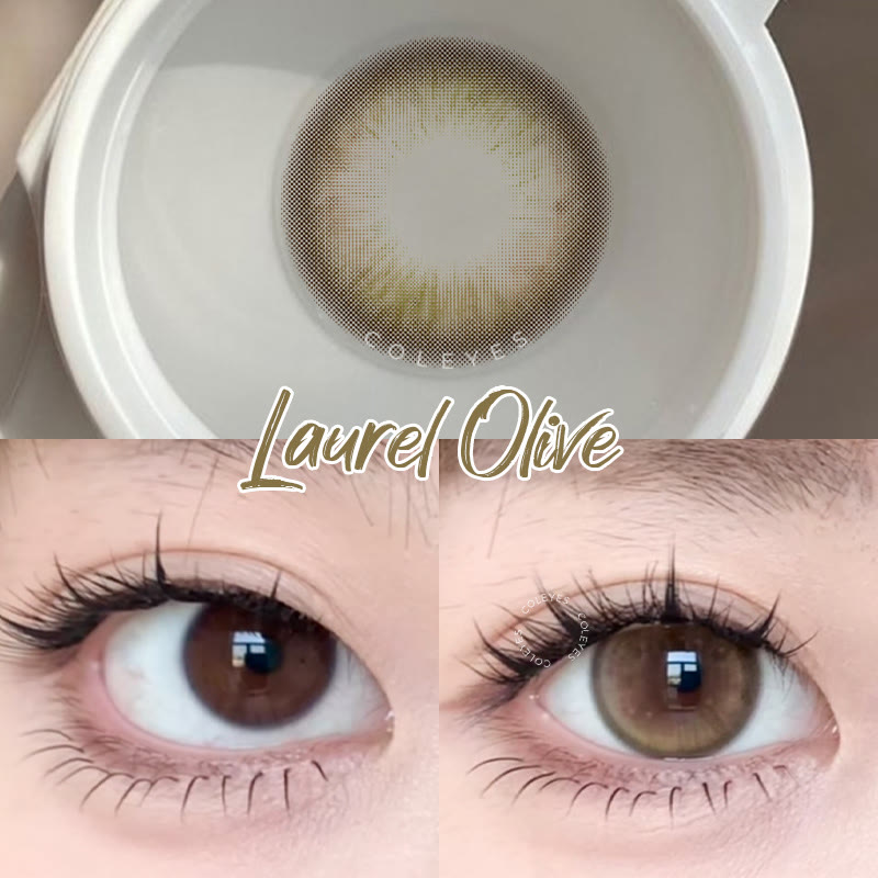 Coleyes Laurel Olive 6-Month Colored Contacts - image 7