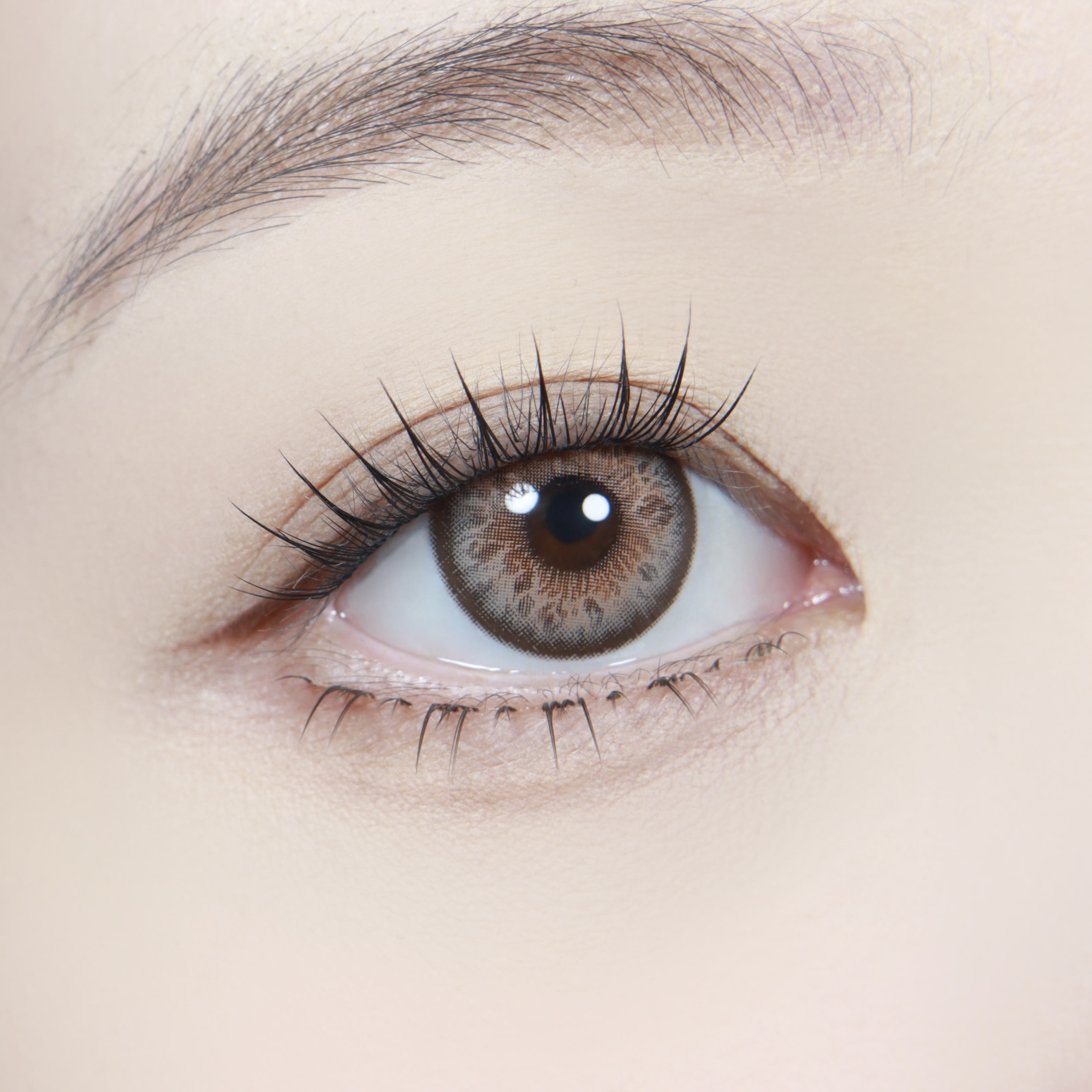 Coleyes Maya  Brown Prescription  Yearly Colored Contacts - image 4