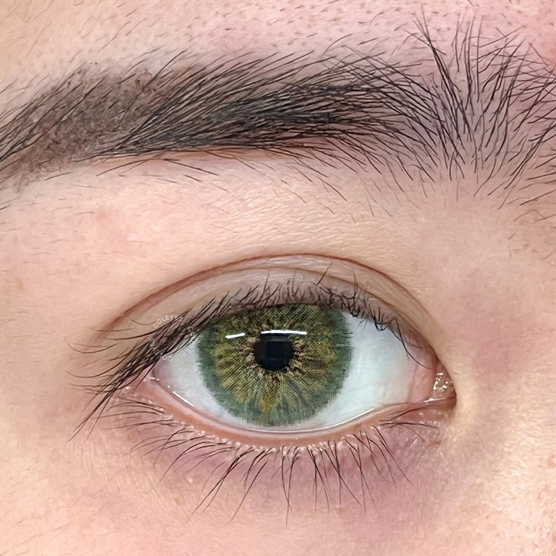 Coleyes Dawn Green Yearly Colored Contacts - image 6