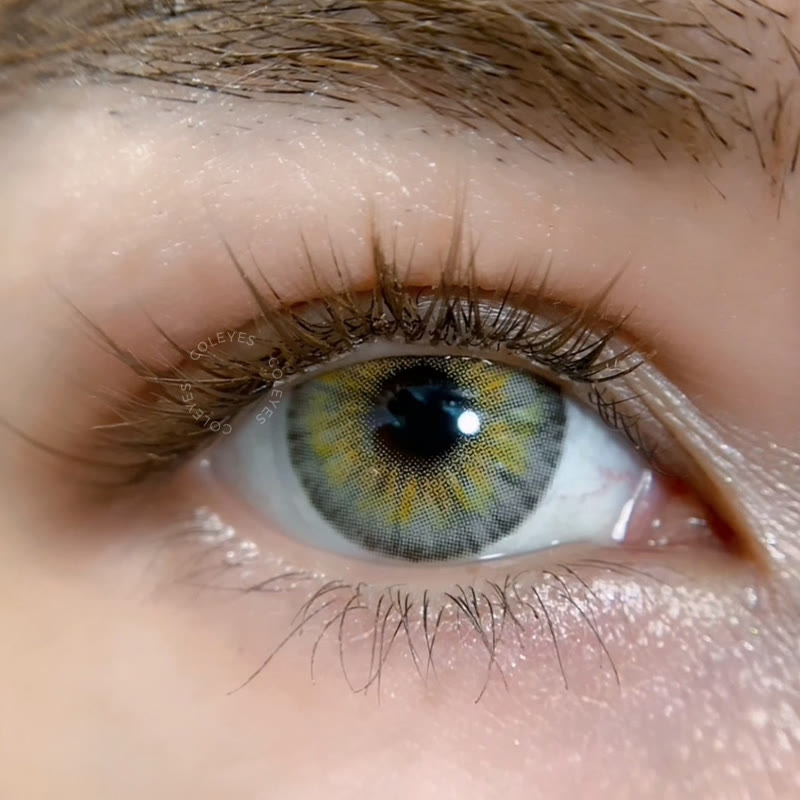 Coleyes Gogh Brown Yearly Colored Contacts - image 5