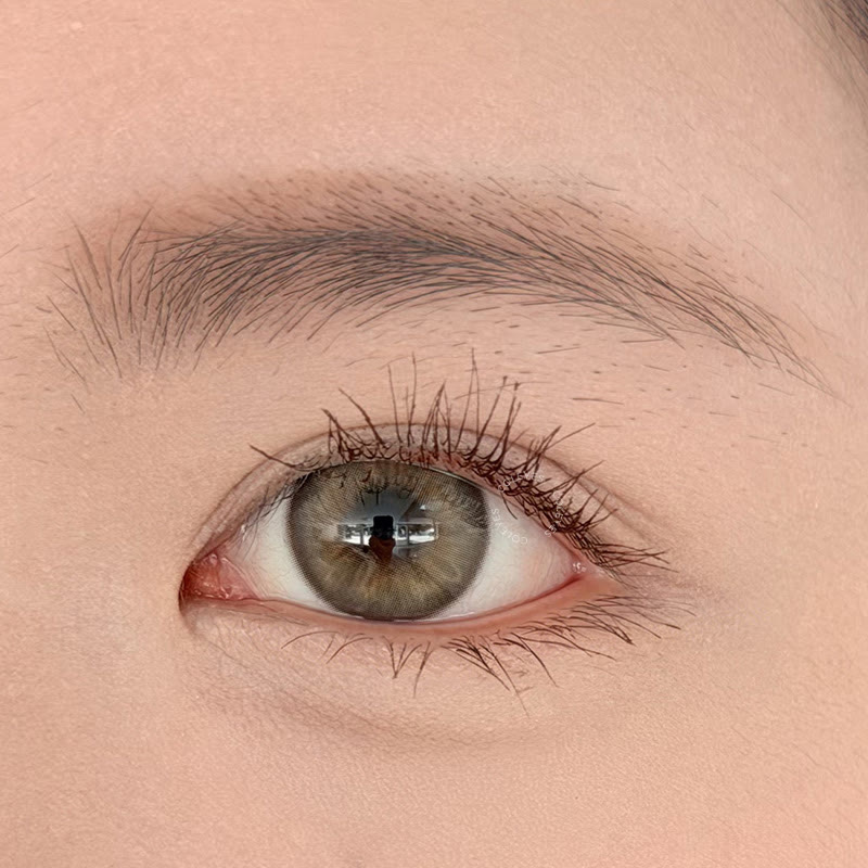 Coleyes Alpha Grey Yearly Colored Contacts - image 5