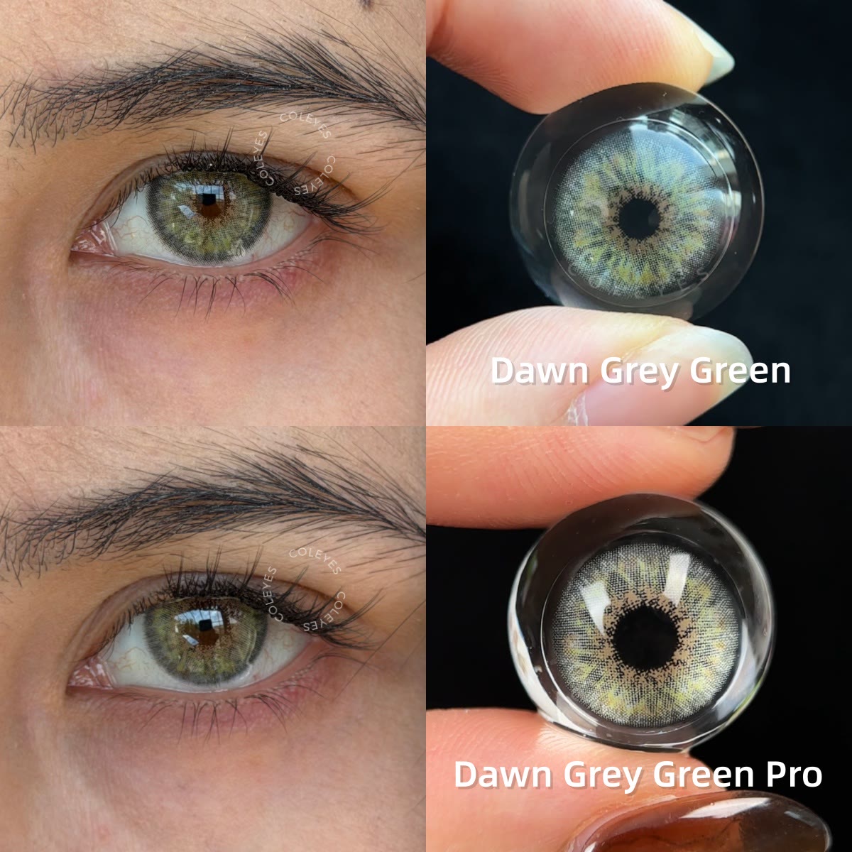 Coleyes Dawn Grey Green Pro Yearly / Monthly Prescription Colored Contacts - image 5