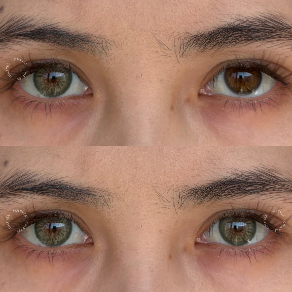 Coleyes Dawn Olive Small Pupil Monthly Prescription Colored Contacts - image 4
