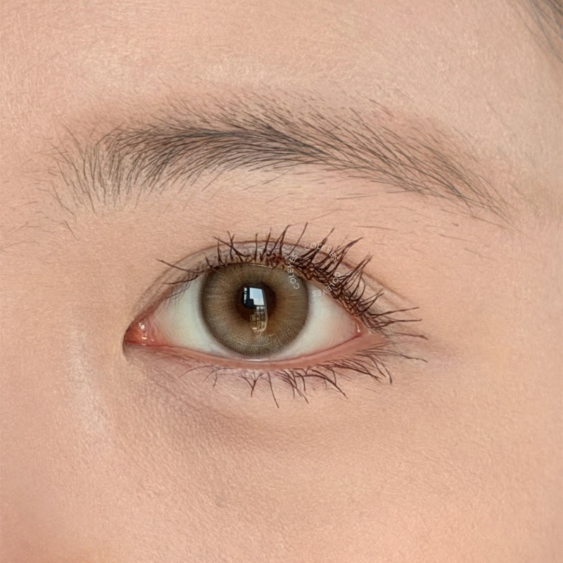 Coleyes Almond Grey Yearly Colored Contacts - image 5