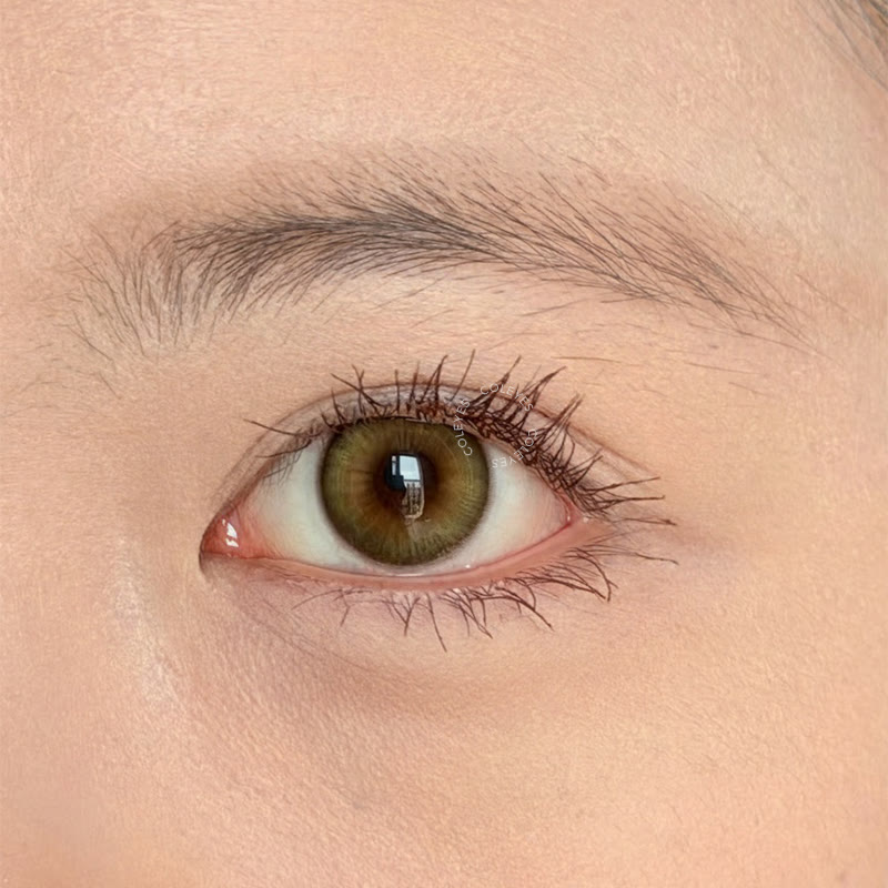Coleyes Almond Brown Yearly Colored Contacts - image 5