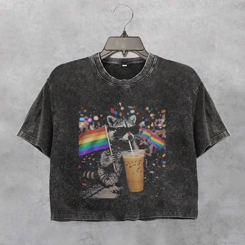 Funny Pride Raccoon Boxy T-Shirt