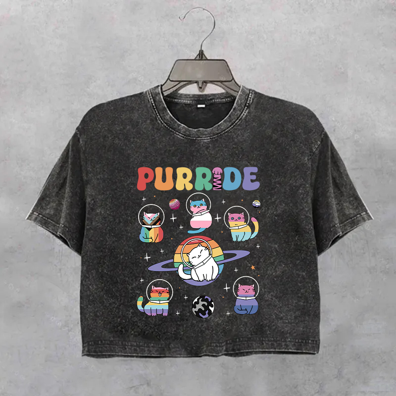Purride Cats In Space Rainbow Pride Boxy T-Shirt