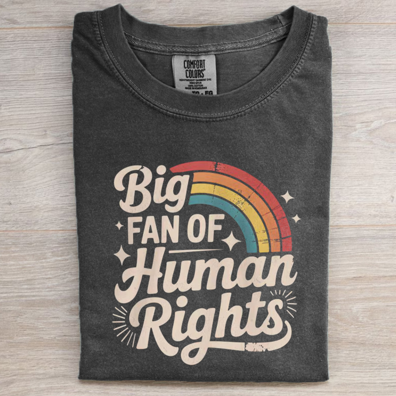 Big Fan of Human Rights Retro Rainbow T-shirt