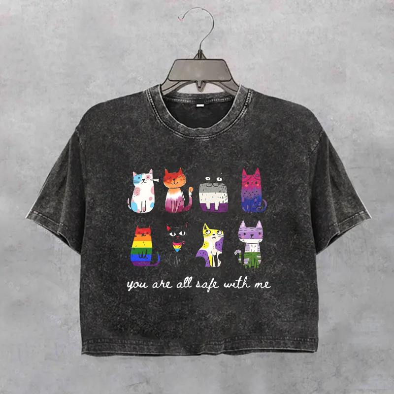 Inclusive Pride Cats Boxy T-Shirt
