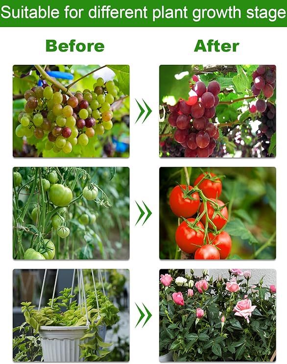 Wavising Wachsen Lichter für Indoor-Pflanzen, 80LEDs Vollspektrum-LED-Pflanzenlampen mit verstellbarem Stativ, 4 Köpfe dimmbar Pflanze wachsen Licht, 3 Beleuchtungsmodi & 3/9/12H Timer für Sämlinge Sukkulenten