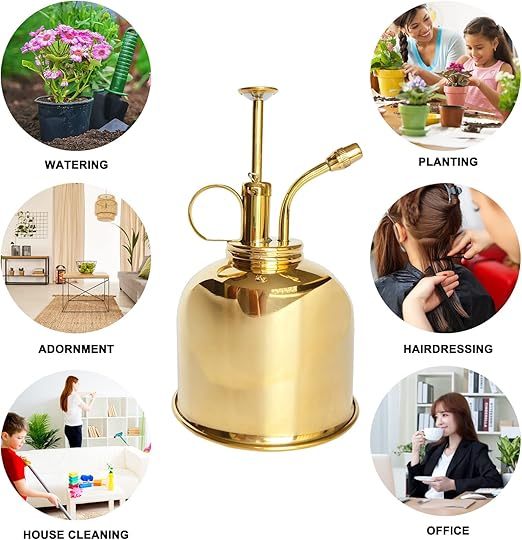 Wavising Messing Golden Spray kann Pflanze Spay Flasche innere Blume Spray Mister 300ml/10.56 oz 1pcs/Lot