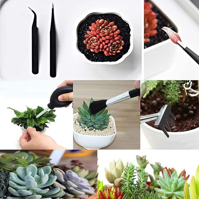 Wavising Sukkulenten-Werkzeuge, 52Pcs Mini-Garten-Werkzeuge, Umpflanzen Werkzeuge Set, Sukkulenten Pflege-Kit mit faltbaren Umtopfen Matte für Indoor-Miniatur-Feen-Gartenarbeit Pflanzenpflege, Potting, Kaktus
