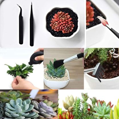 Wavising Sukkulenten-Werkzeuge, 52Pcs Mini-Garten-Werkzeuge, Umpflanzen Werkzeuge Set, Sukkulenten Pflege-Kit mit faltbaren Umtopfen Matte für Indoor-Miniatur-Feen-Gartenarbeit Pflanzenpflege, Potting, Kaktus
