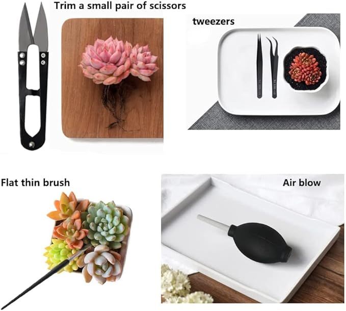 Wavising Sukkulenten-Werkzeuge, 15-teiliges Mini-Gartenwerkzeug-Set, Umpflanzwerkzeug-Set, Sukkulenten-Pflege-Set für Sukkulenten-Miniatur-Gartenpflanzen