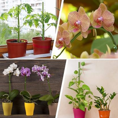 Wavising Pflanze Pfähle, 20Pcs Pflanze Sticks, Garten grün biegsam einzigen Stiel Pflanze Unterstützung Pfähle für Innen-und Außenbereich Pflanzen, Topfpflanzen, Blumen Orchidee Pfingstrose Rose-16 Zoll