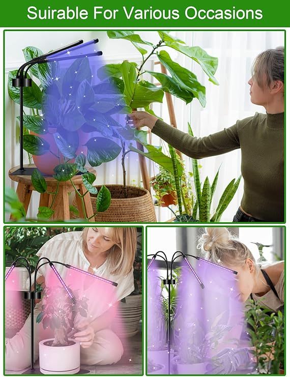 Wavising Wachsen Lichter für Indoor-Pflanzen, 80LEDs Vollspektrum-LED-Pflanzenlampen mit verstellbarem Stativ, 4 Köpfe dimmbar Pflanze wachsen Licht, 3 Beleuchtungsmodi & 3/9/12H Timer für Sämlinge Sukkulenten