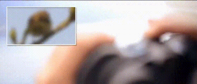 1688955296620680.gif DM_20230707151118_025.gif