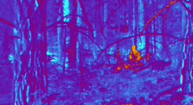 1704331556889900.gif 18.gif