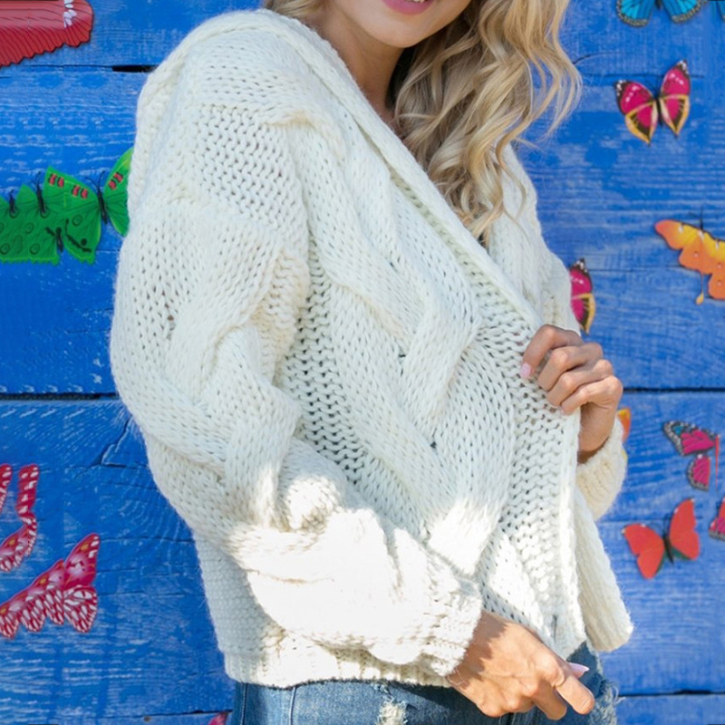 Twist Solid Color Thick Line Hooded Sweater Cardigan-ABOXUN