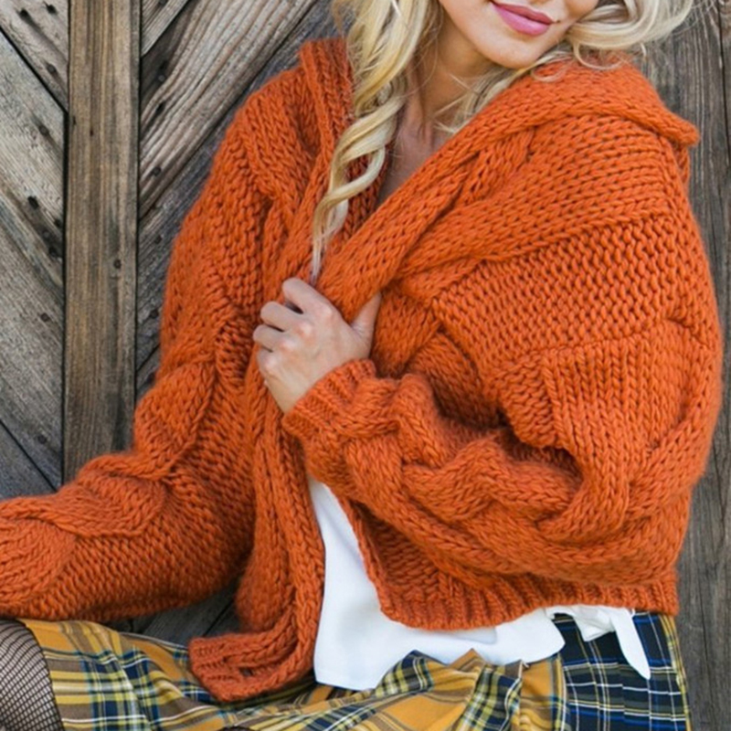 Twist Solid Color Thick Line Hooded Sweater Cardigan-ABOXUN