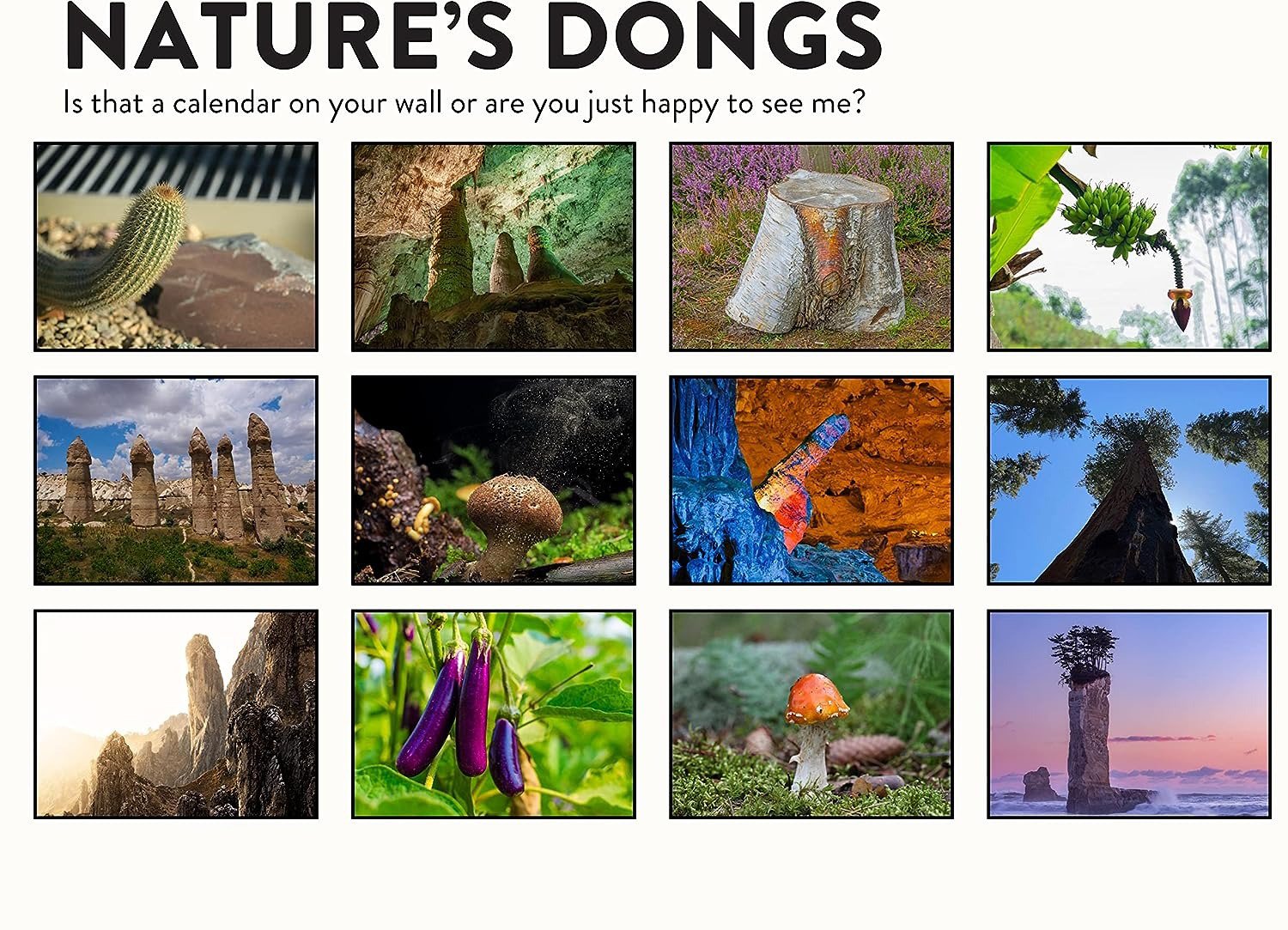 😆FUNNIEST CALENDAR OF THE CENTURY | 2024 Nature Funny Adult Shaped Pics Calendar