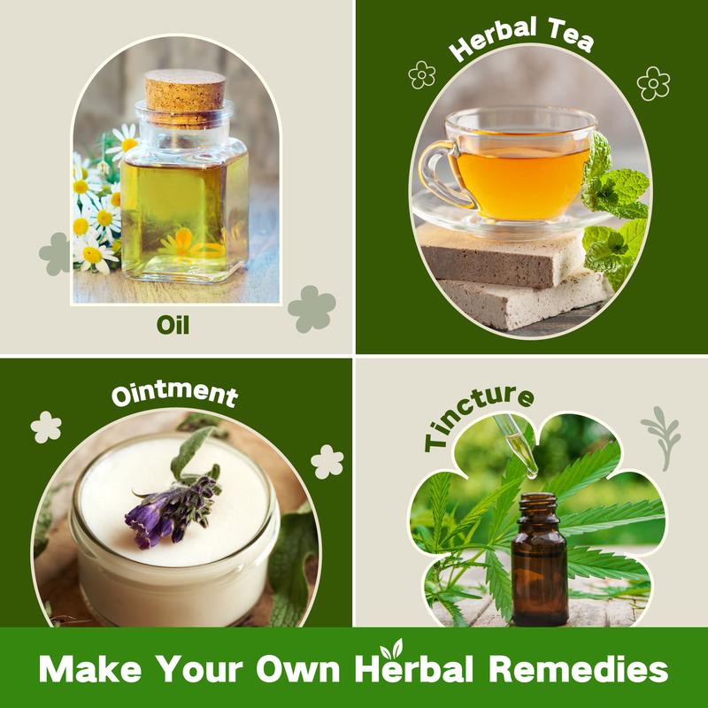 🎁Last Day Promotion 49% OFF🌱​​LUSHandDEW Medicinal Herb Seed Chest – 40 Non-GMO Varieties​​🌿