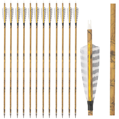 30 Inch Carbon Archery Arrows 6 12 Pack 500 Spine 4 Inch Feathers