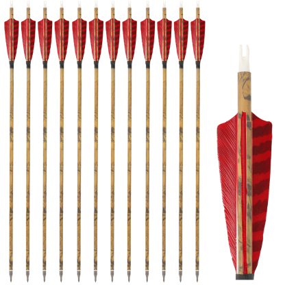 30 Inch Carbon Archery Arrows 6 12 Pack 500 Spine 4 Inch Feathers