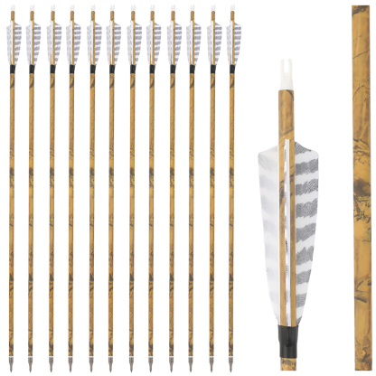 30 Inch Carbon Archery Arrows 6 12 Pack 500 Spine 4 Inch Feathers