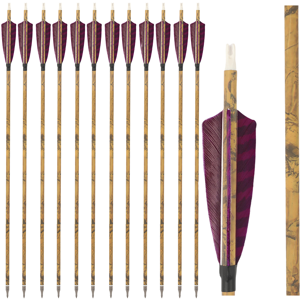 30 Inch Carbon Archery Arrows 6 12 Pack 500 Spine 4 Inch Feathers