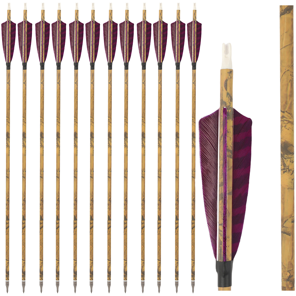 30 Inch Carbon Archery Arrows 6 12 Pack 500 Spine 4 Inch Feathers