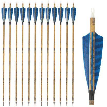 30 Inch Carbon Archery Arrows 6 12 Pack 500 Spine 4 Inch Feathers