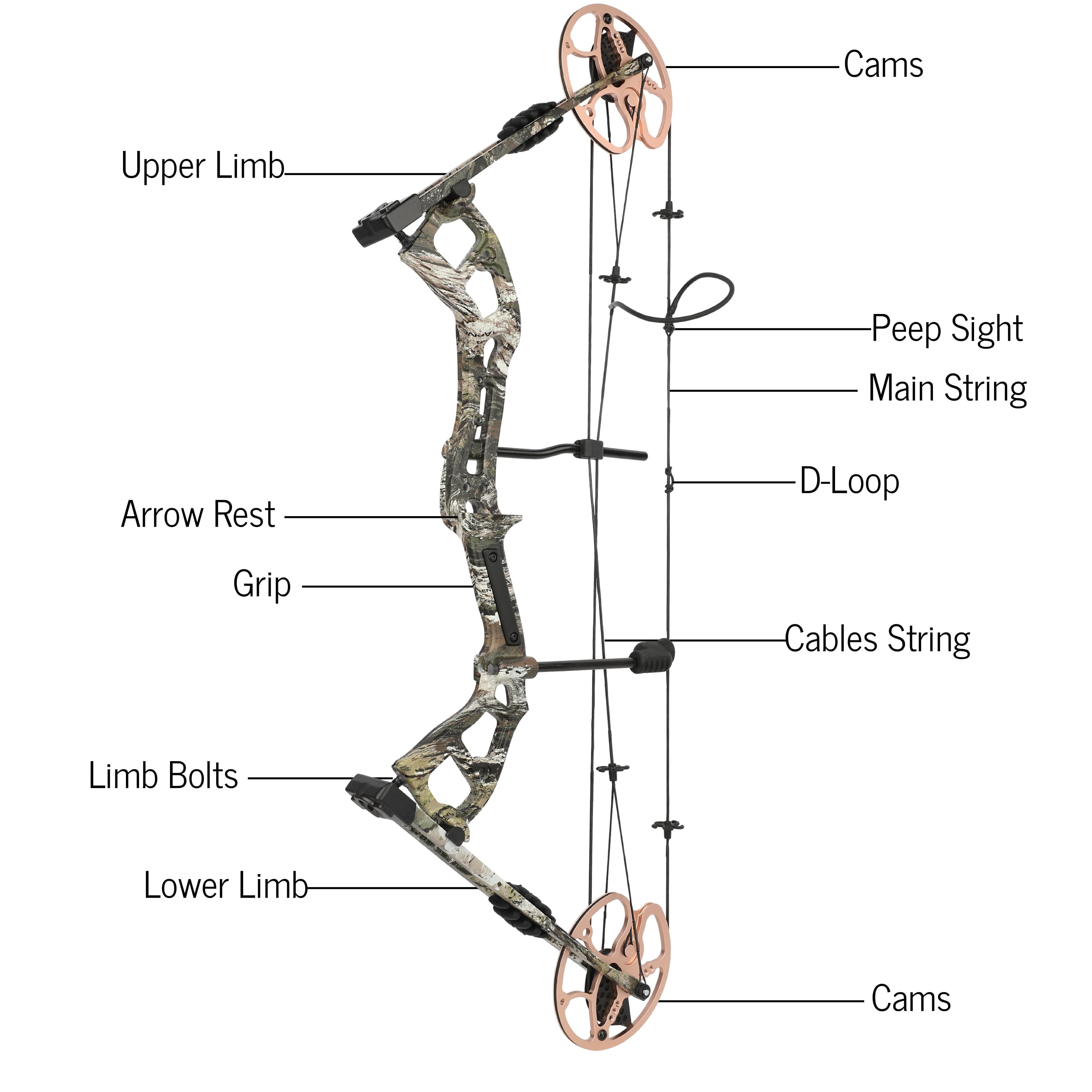 0-70 lbs Compound Bow Arrow Set IBO 325FPS Archery