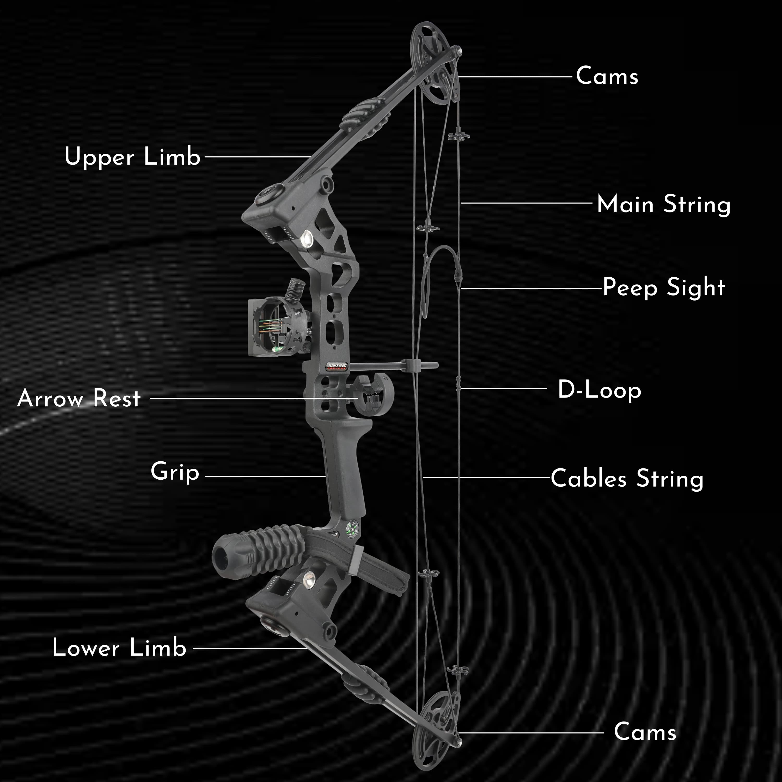 L/RH 20-70 lbs Compound Bow Set Archery Arrow IBO320 FPS