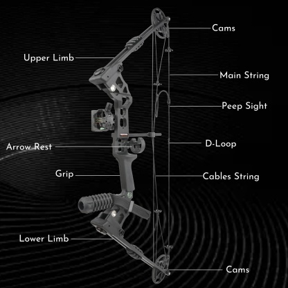 L/RH 20-70 lbs Compound Bow Set Archery Arrow IBO320 FPS