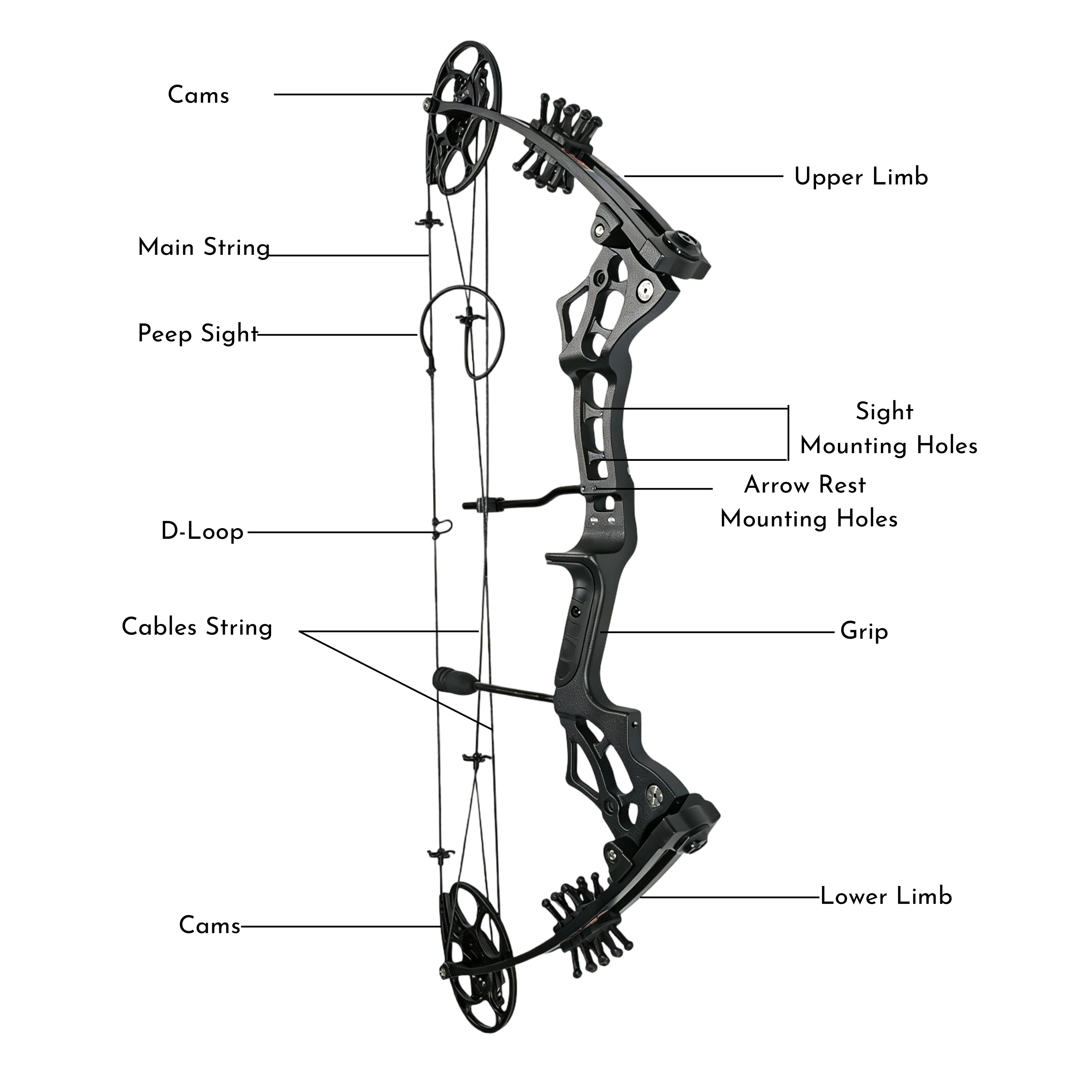 Compound Bow 30-70lbs Dual Cam 70% Let-Off Hunting Target Archery