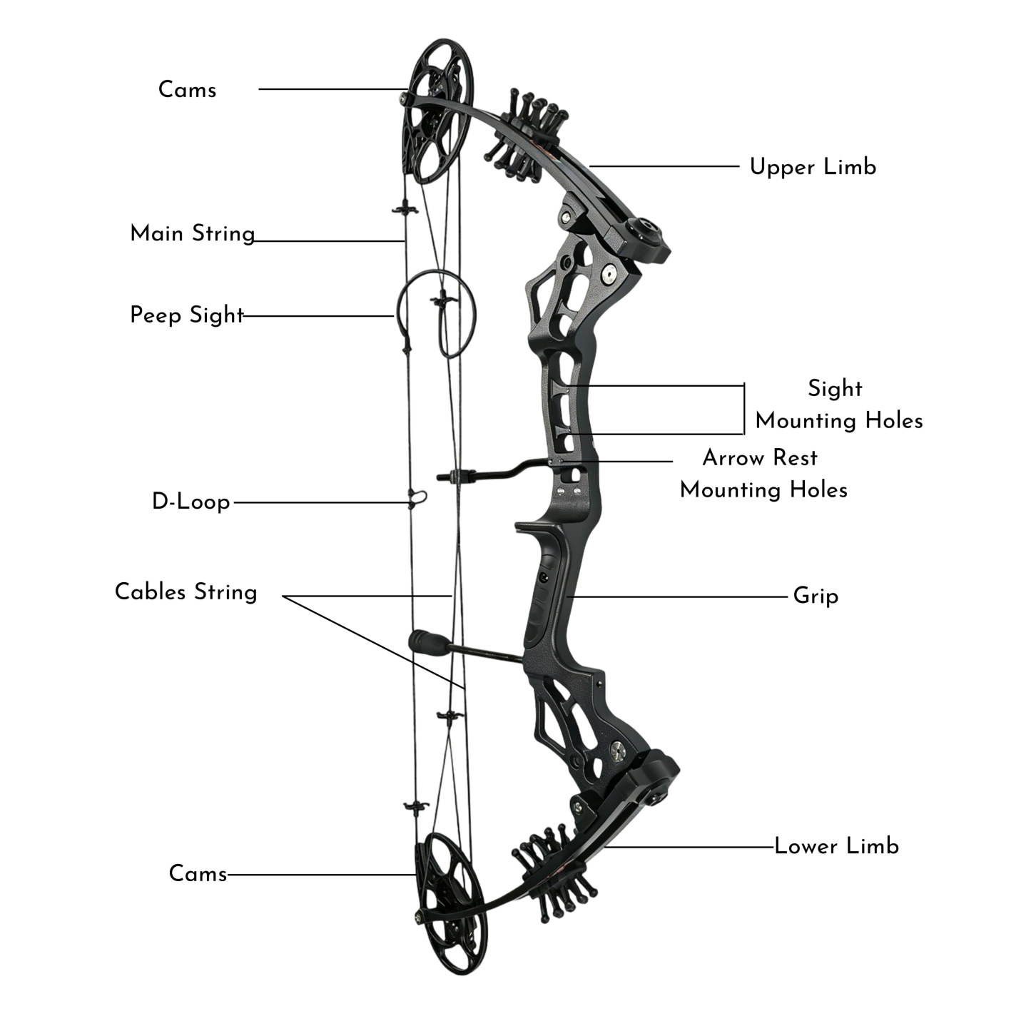 Compound Bow 30-70lbs Dual Cam 70% Let-Off Hunting Target Archery