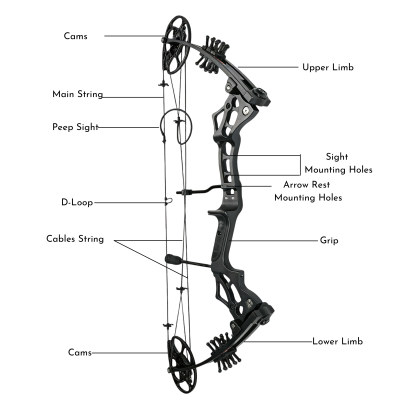 Compound Bow 30-70lbs Dual Cam 70% Let-Off Hunting Target Archery