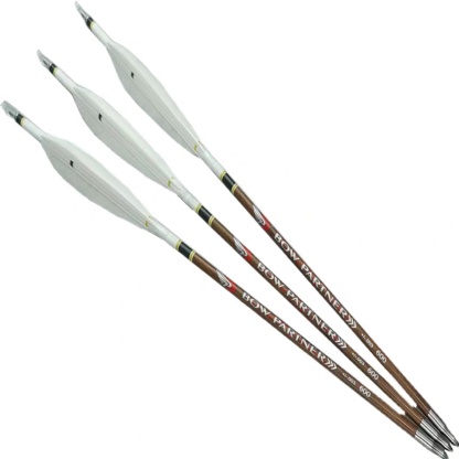 Zhan Ge Carbon Arrow Turkey feather Hunting Arrow Spine500-800