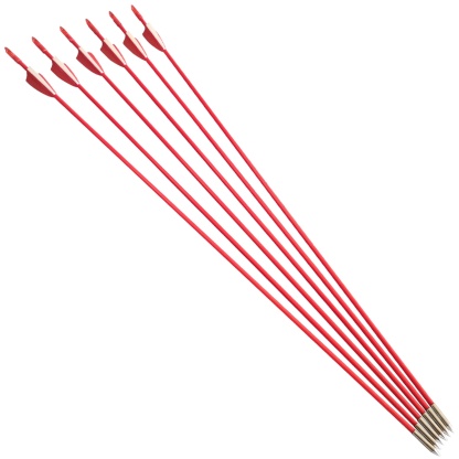 Fiberglass Arrows Archery Quiver Safety Target Practice 