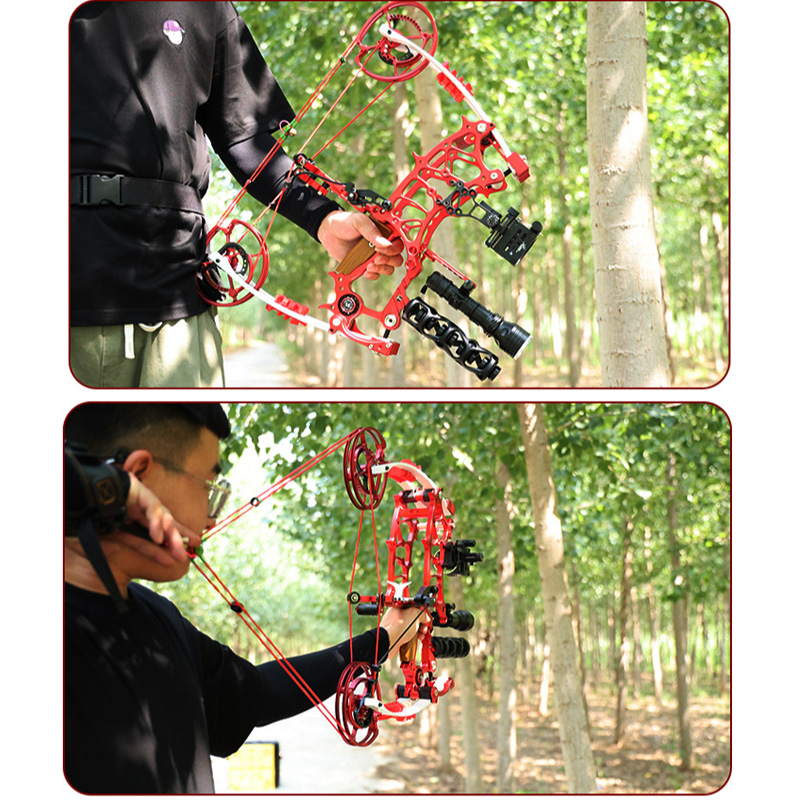 Dual-Purpose Compound Bow Catapult Steel Ball & Archery Hunting