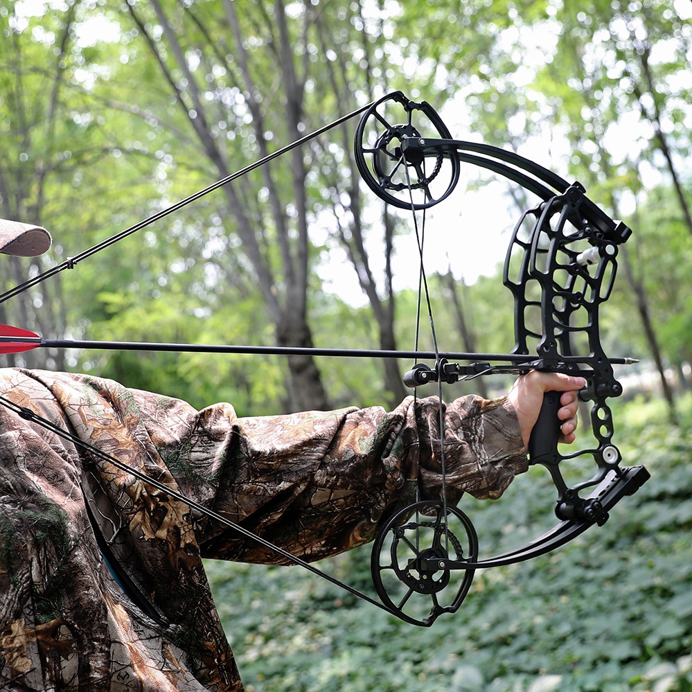 Fast Delivery from USA | Dual-use Hunting Bow & Arrows