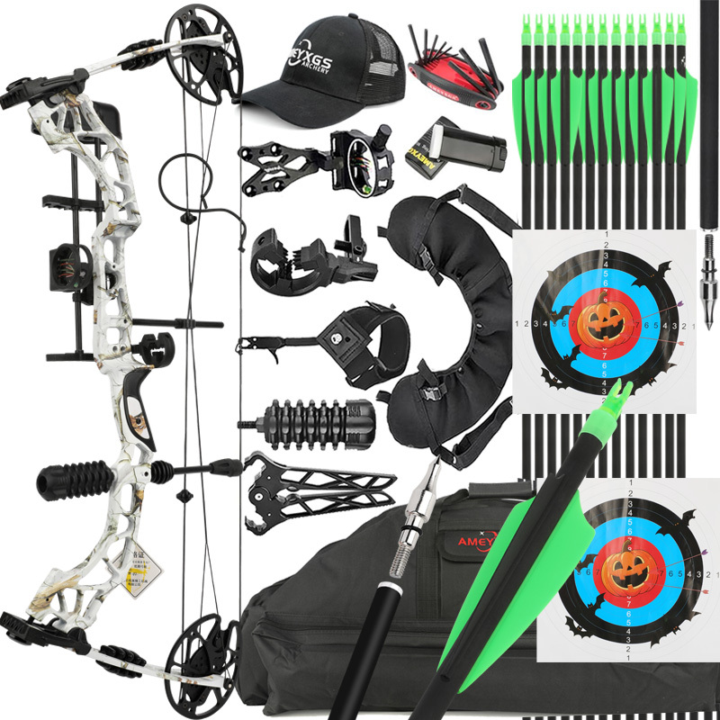 Compound Bow and Arrows Kit Hunting 30-70lbs